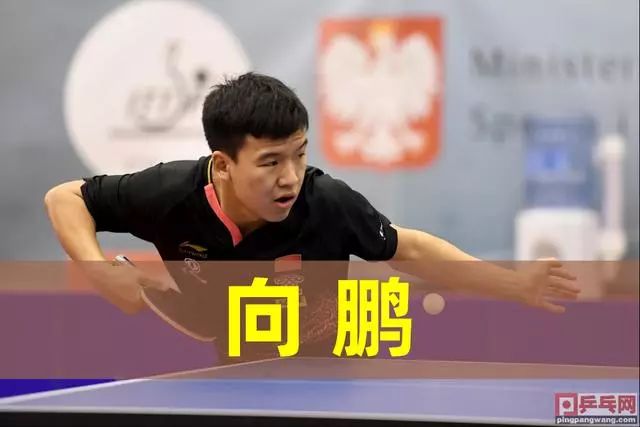 日本队未能 日本队未能