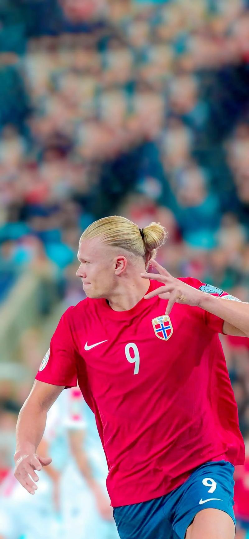 键对位中登 键对位中登